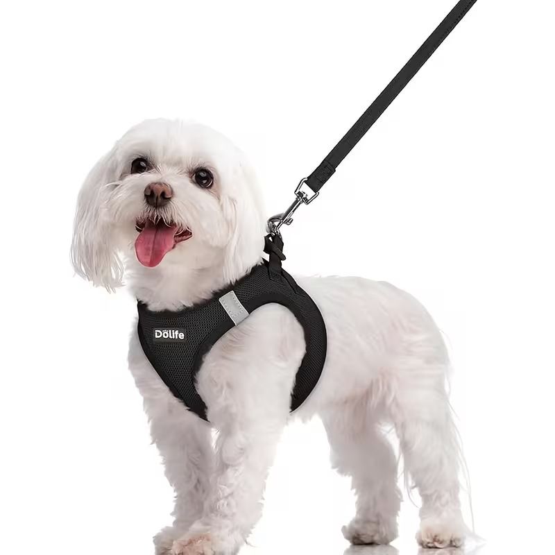 Pet Products