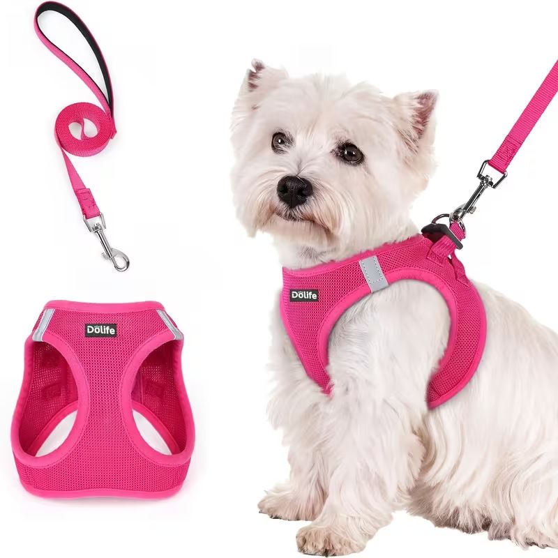 Rose red Breathable Dog Harness and Leash Set - Adjustable Reflective ...